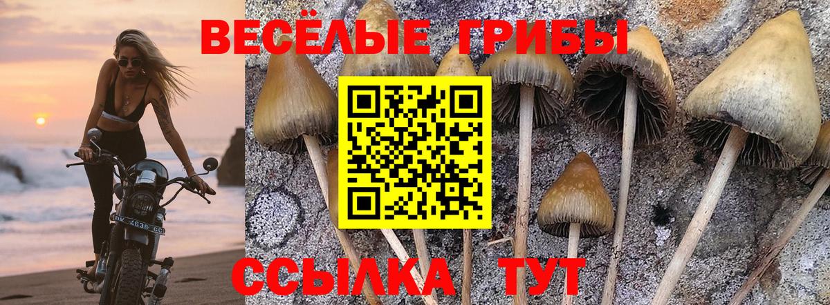 Михайловка  Псилоцибиновые грибы мухоморы  Вход с VPN 