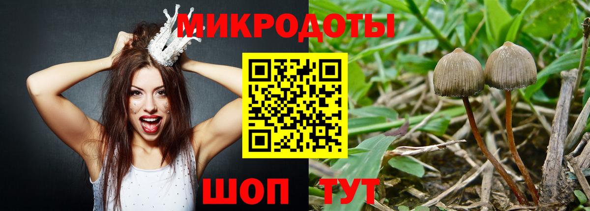 Галлюциногенные грибы MAGIC MUSHROOMS Михайловка